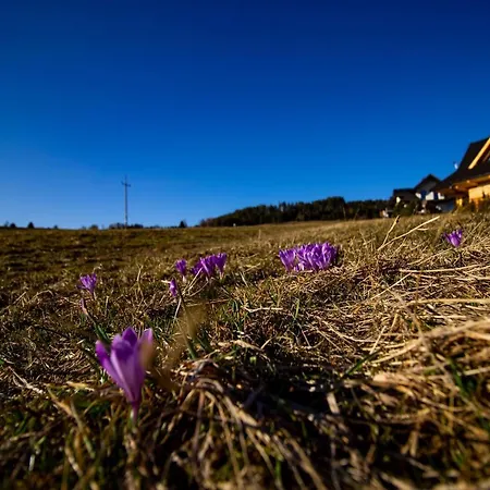 Em Gorce Komfortowe Z Sauna I Jacuzzi *